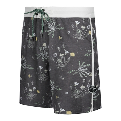 Picture of The Dandy Boardshorts Multiple Color