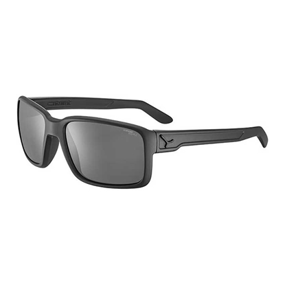 Picture of Sunglasses Dude Matte Black