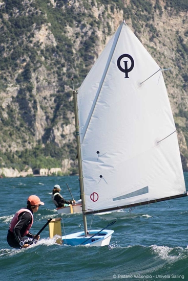 Picture of Optimist Sail CD Medium 35-42 Kg