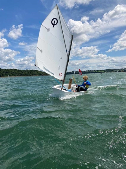 Picture of Optimist Sail CD Power >42 Kg