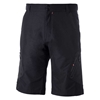Picture of Archboard Shorts Black