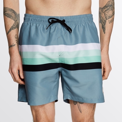 Picture of Boardshort Stripe Grey Blue