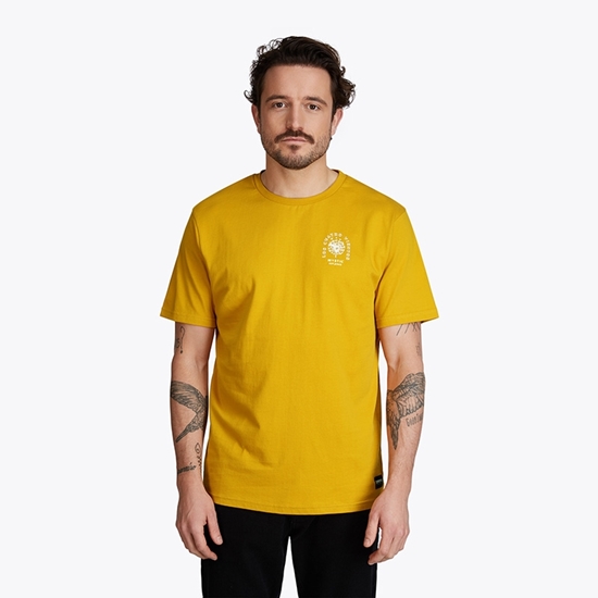 Picture of Seasoning T-Shirt Mustard