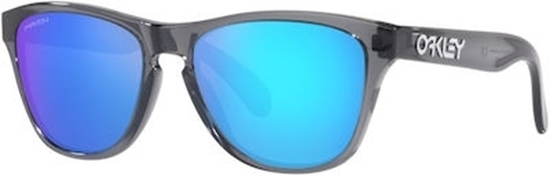 Picture of Frogskins Xxs Grey Smoke / Prizm Spphire